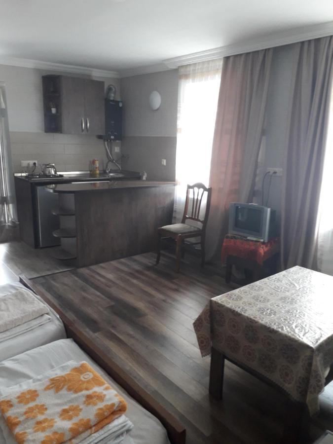 Apartament Ninati Боржоми Экстерьер фото