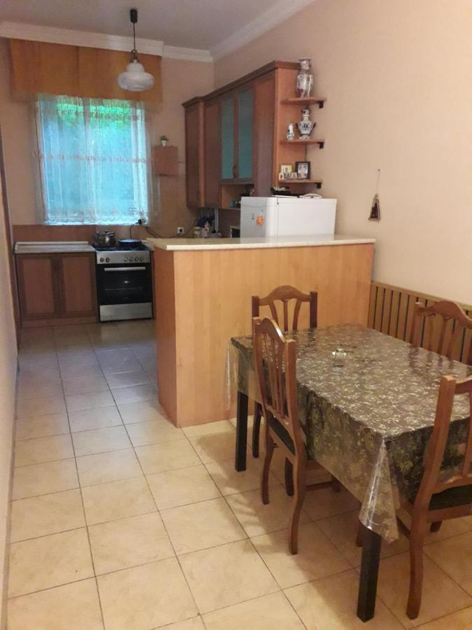 Apartament Ninati Боржоми Экстерьер фото